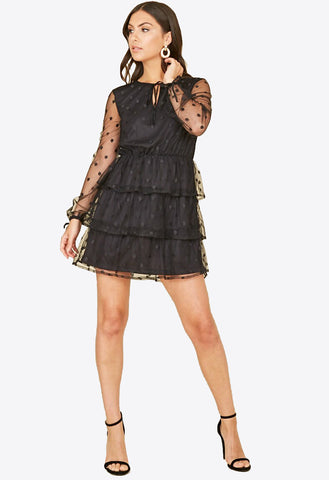 Black Spot Mesh Ruffle Skirt Mini Dress