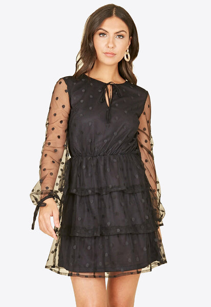 Black Spot Mesh Ruffle Skirt Mini Dress