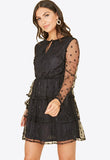 Black Spot Mesh Ruffle Skirt Mini Dress