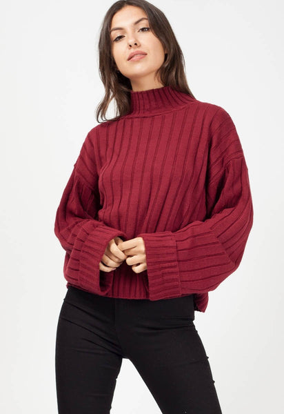 Wine Turtle Neck Knitted Jumper