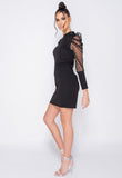 Black Polka Dot Sheer Puffed Sleeve Bodycon Mini Dress