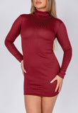 Wine Rib Knit Polo Neck Bodycon Mini Dress