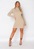 Beige Rib Knit Roll Neck Jumper Dress