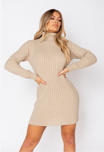 Beige Rib Knit Roll Neck Jumper Dress